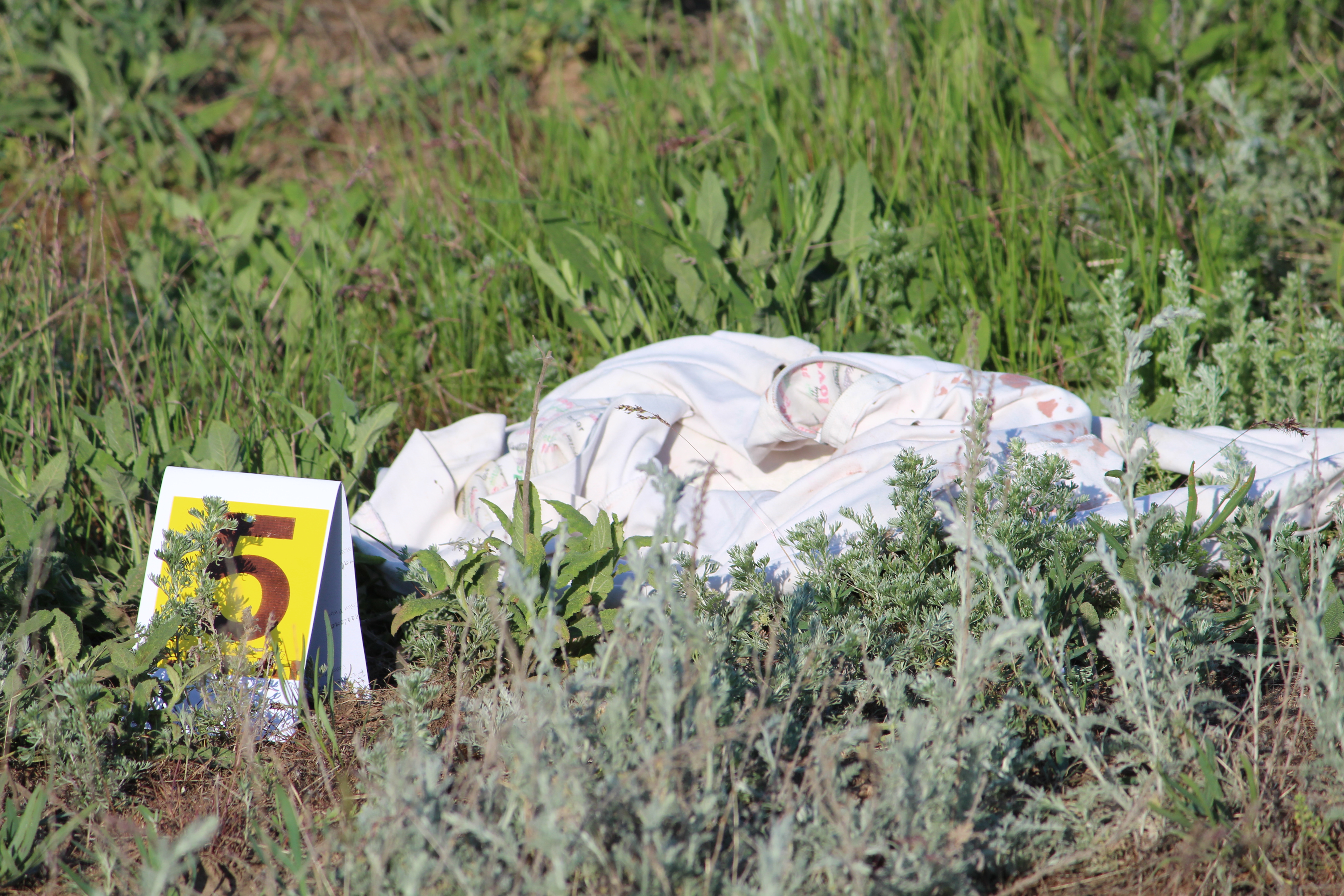 Убил и надругался над телом: суд вынес приговор на юге Казахстана